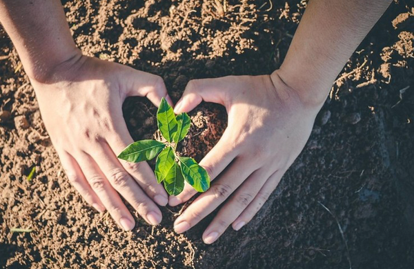 National Tree Day - Connecting People With Nature