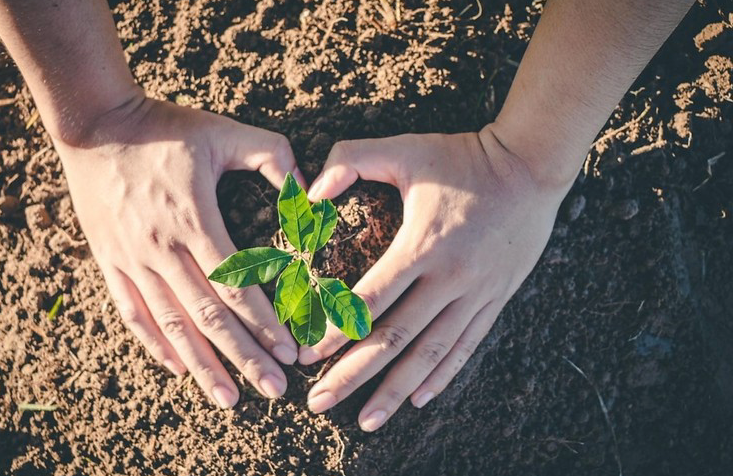 National Tree Day - Connecting People With Nature